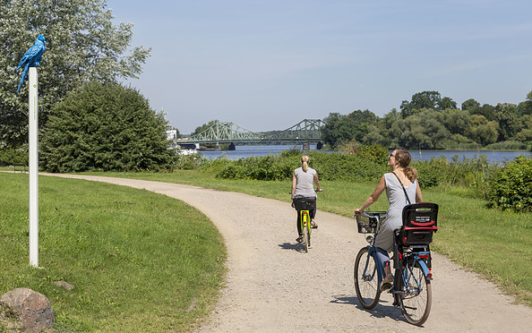 Radfahren im Park Babelsberg entlang der Havel  , Foto: Andre Stiebitz, Lizenz: © PMSG/SPSG
