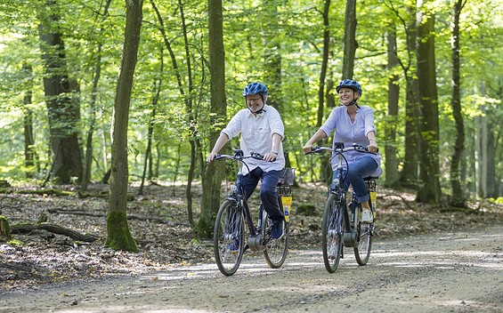 Spreeradweg, Foto: TMB-Fotoarchiv Andreas Franke
