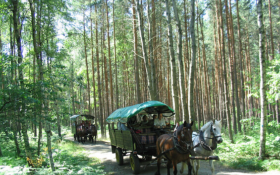 Kremser im Loben, Foto: Die Lobenburger, Lizenz: Die Lobenburger