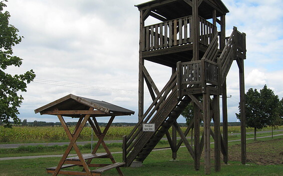 Friedersdorf observation tower, Foto: Amt Elsterland, Lizenz: Amt Elsterland