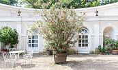 Orangerie Schloss Wiepersdorf, Foto: Jedrzej Marzecki, Lizenz: Tourismusverband Fläming e.V.