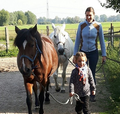 Mit Pferden den Naturpark Nuthe-Nieplitz erleben
