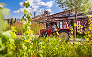 Traktorbahn im Karls Erlebnis-Dorf Elstal, Foto: Karls Erlebnis-Dorf Elstal, Lizenz: Karls Erlebnis-Dorf Elstal
