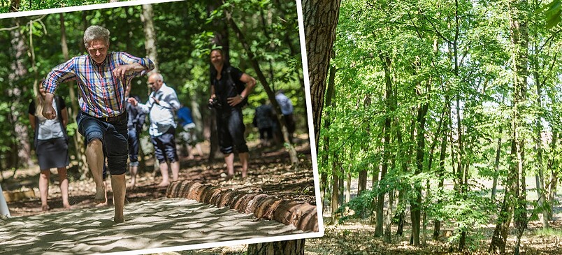 Barfußpark Beelitz-Heilstätten