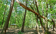 Wegesrand, Foto: Barfußpark Beelitz-Heilstätten