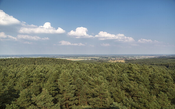 Aussicht vom Heidebergturm, Foto: TMB-Fotoarchiv/ Steffen Lehmann