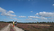 Heidewanderung, Foto: Naturpark Niederlausitzer Heidelandschaft, Lizenz: Naturpark Niederlausitzer Heidelandschaft