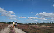 Heidewanderung, Foto: Naturpark Niederlausitzer Heidelandschaft, Lizenz: Naturpark Niederlausitzer Heidelandschaft