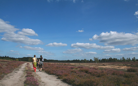 Heidewanderung, Foto: Naturpark Niederlausitzer Heidelandschaft, Lizenz: Naturpark Niederlausitzer Heidelandschaft