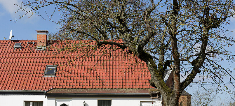 Ferienwohnung Günther