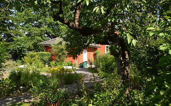 Apothekergarten Milow - garden