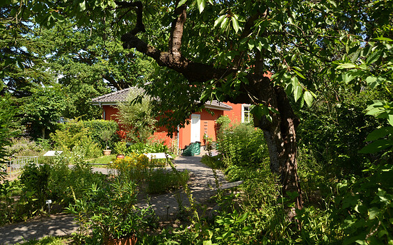 Apothekergarten Milow, Foto: Matthias Schäfer, Lizenz: TMB Tourismus-Marketing Brandenburg GmbH