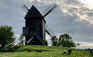 Tour of the Vehlefanz windmill, Foto: Itta Olaj, Lizenz: Tourismusverband Ruppiner Seenland e.V.