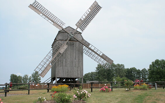 Bockwindmühle Elsterwerda, Foto: TMB/Steffen Lehmann, Lizenz: TMB/Steffen Lehmann