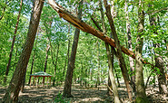 Roadside, Foto: Barfußpark Beelitz-Heilstätten