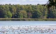 Altfriedländer Teiche Märkische Schweiz, Foto: Florian Läufer