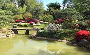 Teich mit Kois im Japanischen Bonsaigarten Ferch, Foto: Schwielowsee Tourismus/Spaak, Foto: Kultur- und Tourismusamt, Lizenz: Tourismusverband Havelland e.V.