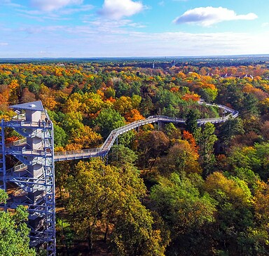 Baum&Zeit Baumkronenpfad - Turm & Pfad, Foto:  Baumkronenpfad Beelitz-Heilstätten