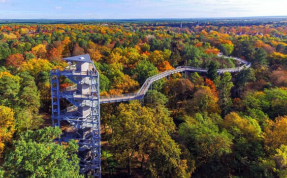Baum&Zeit Baumkronenpfad - Turm & Pfad, Foto:  Baumkronenpfad Beelitz-Heilstätten