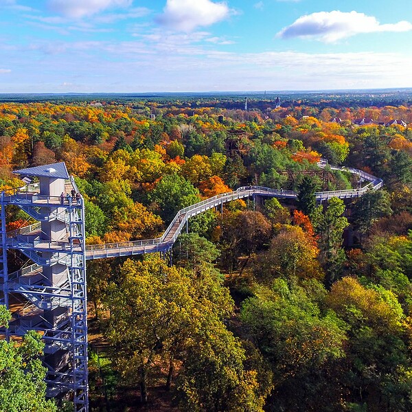 Baum&Zeit Baumkronenpfad - Turm & Pfad, Foto:  Baumkronenpfad Beelitz-Heilstätten