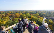 Baum&amp;Zeit Baumkronenpfad - Aussichtsplattform im Herbst, Foto: Baumkronenpfad Beelitz-Heilstätten