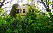 Baum&amp;Zeit Baumkronenpfad - Wald-Park mit Ruine des Alpenhaus, Foto: Baumkronenpfad Beelitz-Heilstätten