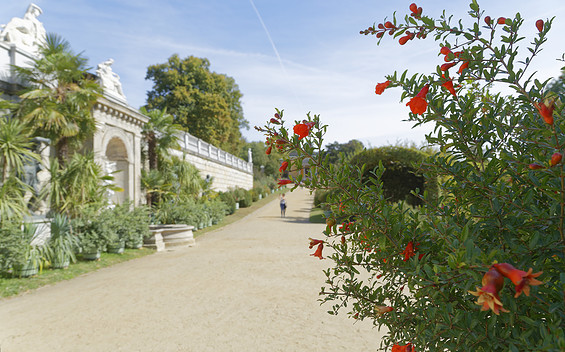 Sicilian Garden, Foto: André Stiebitz, Lizenz: PMSG/ SPSG