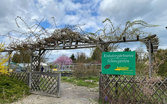 Kräutergärtnerei helenion in Grünow