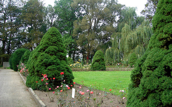 Gut Saathain - Rosengarten, Foto: TVEEL, Lizenz: TVEEL