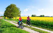 Idyllisches Radeln auf einem blühenden Feldweg, Foto: fotografie-nf / Reinhard Witt, Lizenz: Die Mecklenburger Radtour GmbH