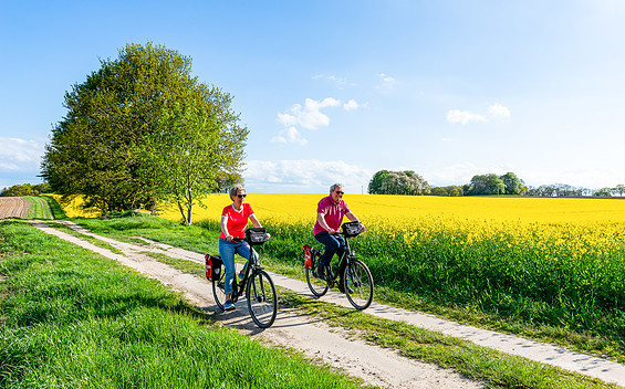 Idyllisches Radeln auf einem blühenden Feldweg, Foto: fotografie-nf / Reinhard Witt, Lizenz: Die Mecklenburger Radtour GmbH