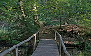 Holzbrücken führen über die Kunster, Foto: Jannika Olesch, Lizenz: Tourismusverband Ruppiner Seenland e.V.