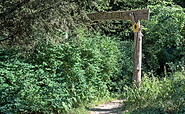 Eingang ins Naturschutzgebiet vom Parkplatz, Foto: Jannika Olesch, Lizenz: Tourismusverband Ruppiner Seenland e.V.