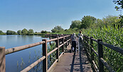 Barrierefreier Wanderweg, Foto: Jannika Olesch, Lizenz: Tourismusverband Ruppiner Seenland e. V.