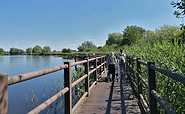 Barrierefreier Wanderweg, Foto: Jannika Olesch, Lizenz: Tourismusverband Ruppiner Seenland e. V.