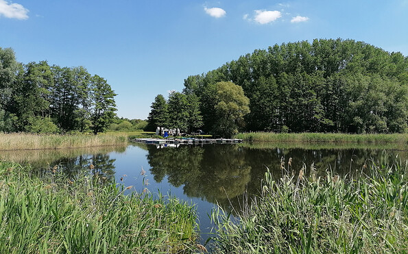 Blick vom Westufer auf Halbinseln des Mühlensees, Foto: Jannika Olesch, Lizenz: Tourismusverband Ruppiner Seenland e. V.