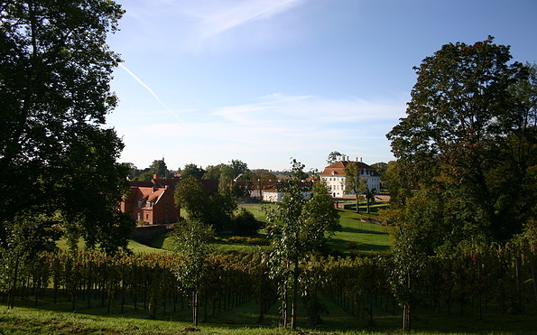 Blick auf das Schlossgelände, Foto: Judith Kerrmann, Lizenz: Tourismusverband Ruppiner Seenland e. V.