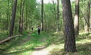 Karthanerundweg, Foto: Tourismusverband Prignitz e.V.