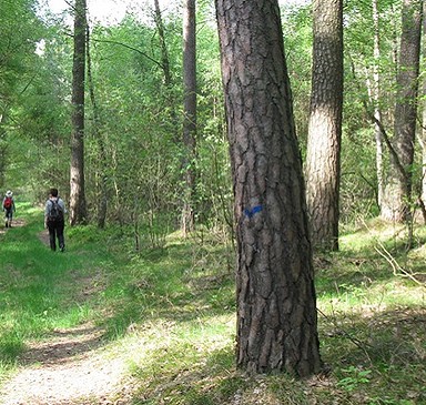 Karthanerundweg