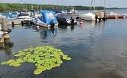 Blick auf den Steg mit Motorbooten, Foto: Denise Haynert, Lizenz: Tourismusverband Lausitzer Seenland e.V.