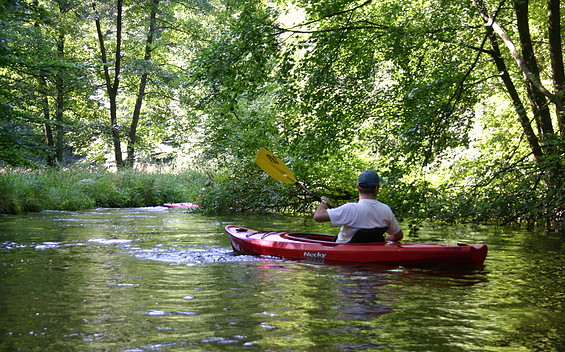 Kajakfahrer auf dem Rheinsberger Rhin, Foto: Madlen Wetzel, Lizenz: Tourismusverband Ruppiner Seenland e. V.