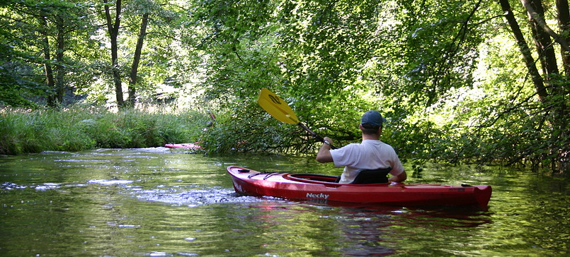 Canoeing tour on Rheinsberger Rhin