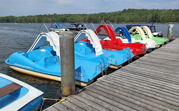 Pedal boat hire, Foto: Denise Haynert, Lizenz: Tourismusverband lausitzer Seenland e.V.