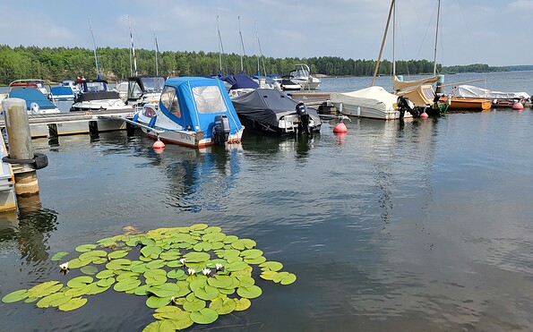View at the pier with motorboats, Foto: Denise Haynert, Lizenz: Tourimusverband Lausitzer Seenland e.V.