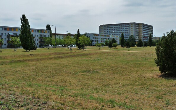 View of the citizens meadow, Foto: Charis Soika, Lizenz: Tourismusverband Lausitzer Seenland e.V.
