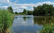 Blick auf den Gondelteich, Foto: Charis Soika, Lizenz: Tourismusverband Lausitzer Seenland e.V.