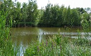 View of the gondola pond, Foto: Charis Soika, Lizenz: Tourismusverband Lausitzer Seenland e.V.