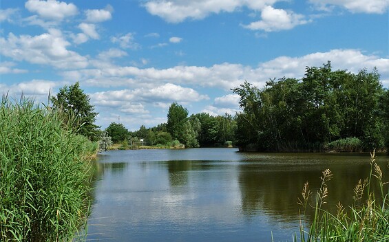 View of the gondola pond, Foto: Charis Soika, Lizenz: Tourismusverband Lausitzer Seenland e.V.