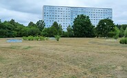 Freie Grasfläche, Foto: Charis Soika, Lizenz: Tourismusverband Lausitzer Seenland e.V.