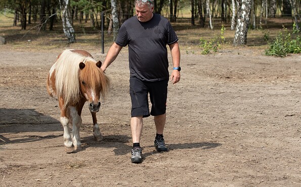 Pony, Foto: Kathrin Winkler, Lizenz: Tourismusverband Lausitzer Seenland e.V.
